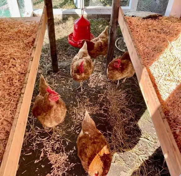 Majatalo 犬と泊まれる平屋dog Friendly House 黄昏