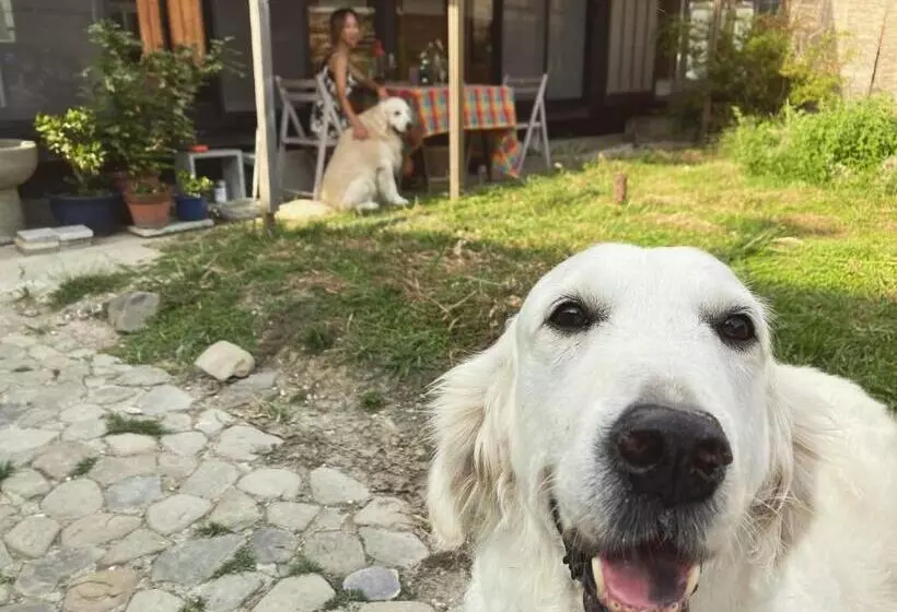 Majatalo 犬と泊まれる平屋dog Friendly House 黄昏