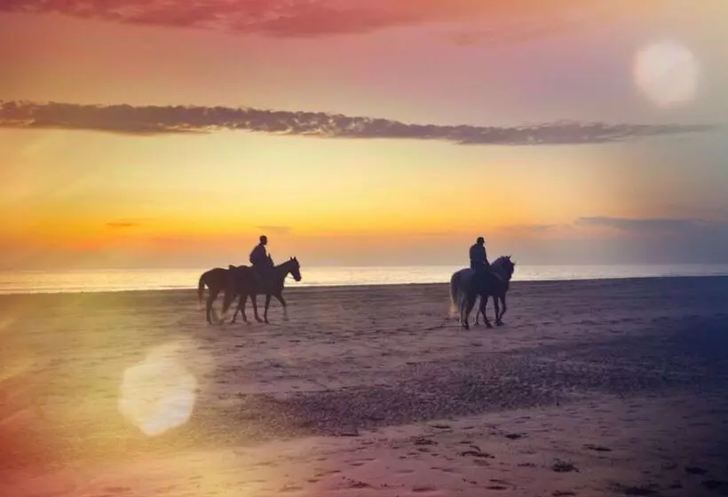 Aamiaismajoitus (B&B) Blue Wave Lodge