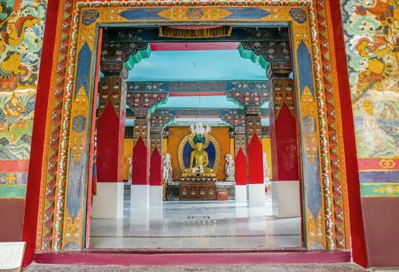 Hotel Chokling Arthouse   The Treasure Of Himalayas