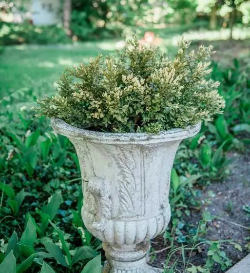 Retkeilymaja Bridgewalk Estate A Wanderlust Abodes Property