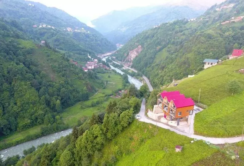 Devran