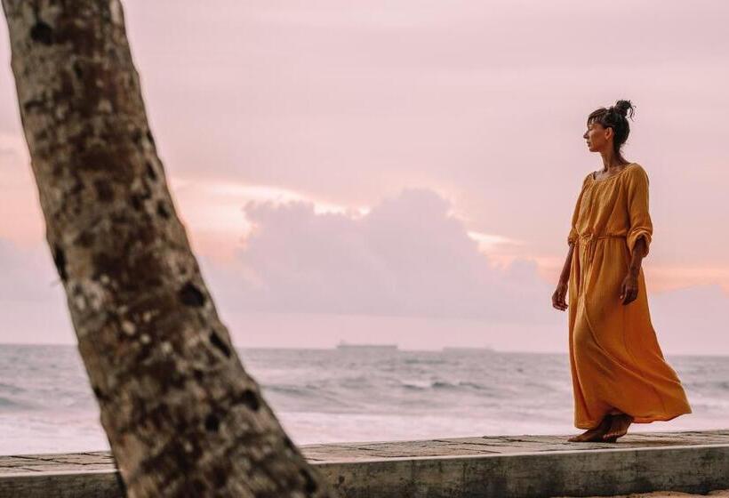 בית מלון כפרי Villa Selenya