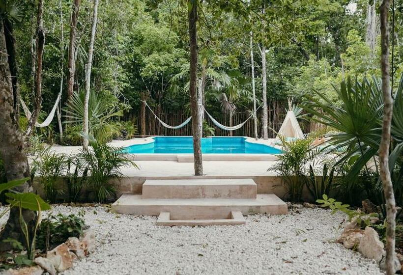 Отель Lunita Jungle