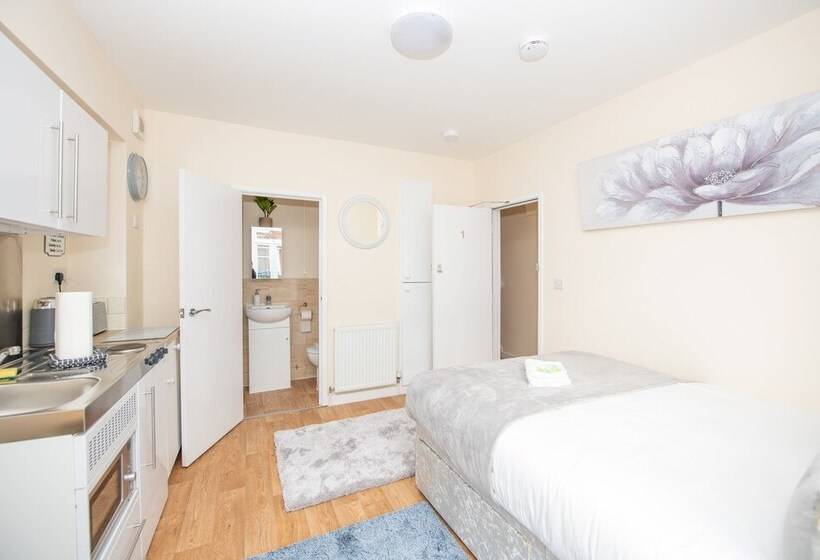 Modern Studio Apartments In Castle St