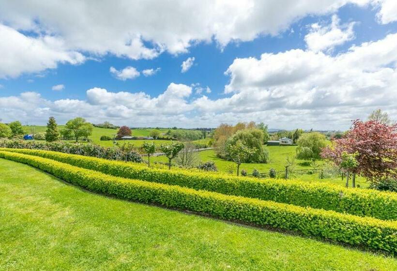 مبيت وإفطار Daffodil Guest Studio