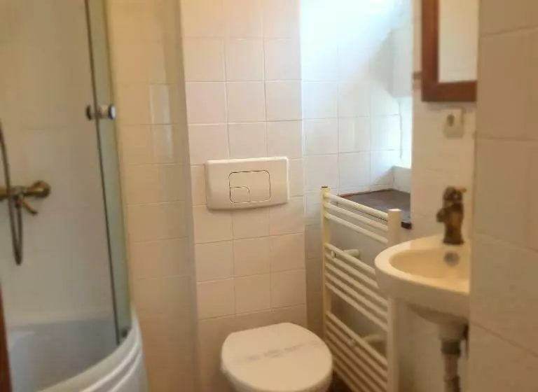 ペンション Studio Rasnov Apartaments