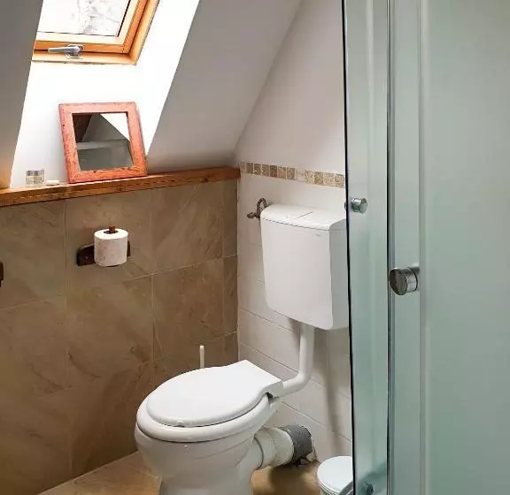 ペンション Studio Rasnov Apartaments
