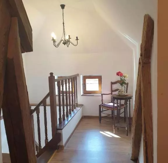 ペンション Studio Rasnov Apartaments