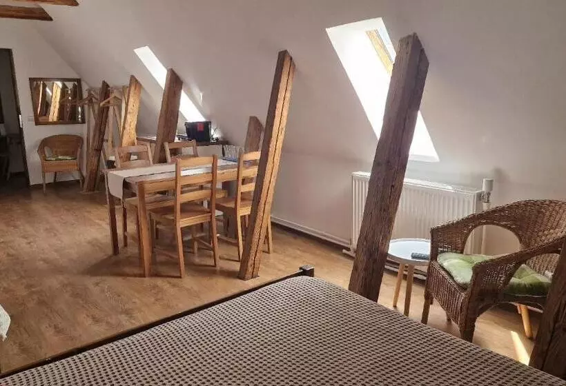 ペンション Studio Rasnov Apartaments