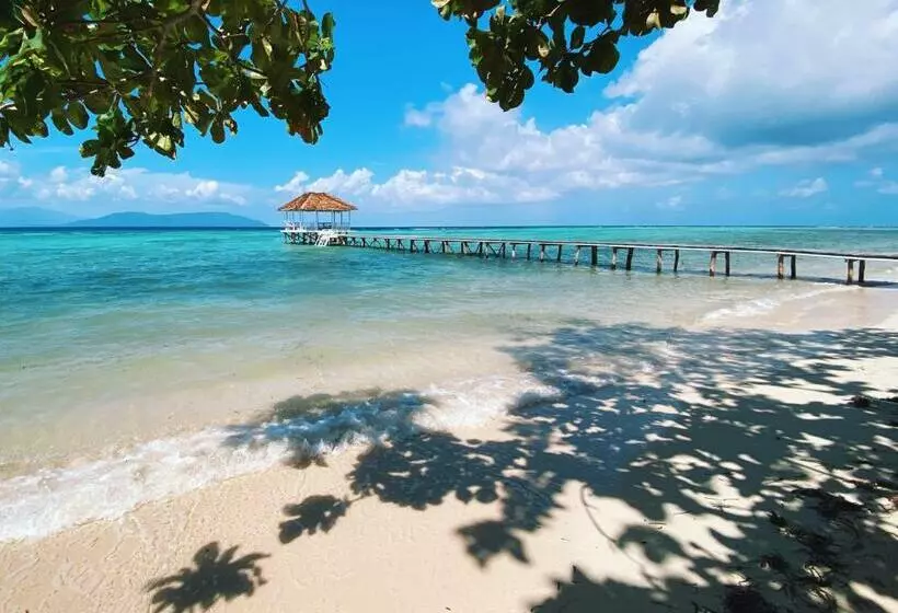 Reconnect   Private Island Resort & Dive Center Togean   Buka Buka Island