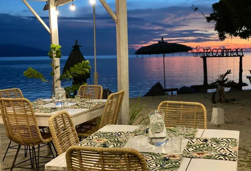 Reconnect   Private Island Resort & Dive Center Togean   Buka Buka Island