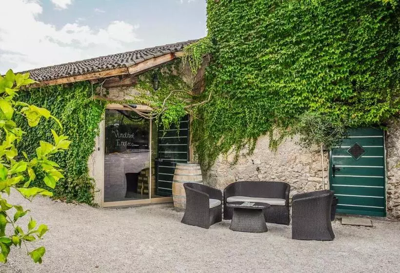 Hotelli Weinbergsuite Panholzer