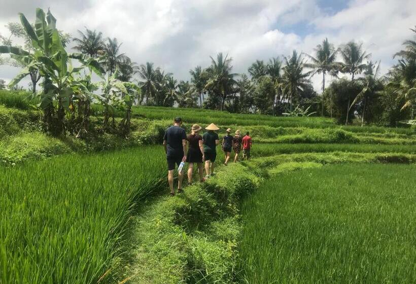 膳宿费 Arsa Wayan Guest House