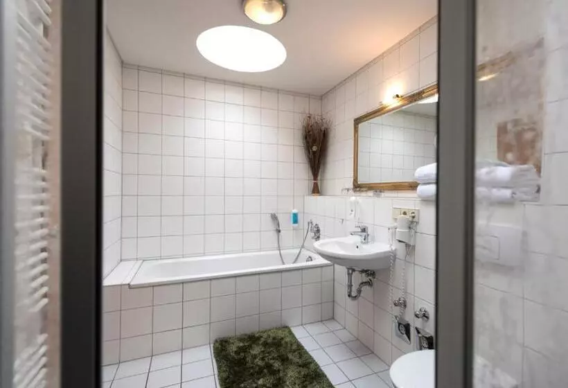 هتل Ambassador Berlin Grünau