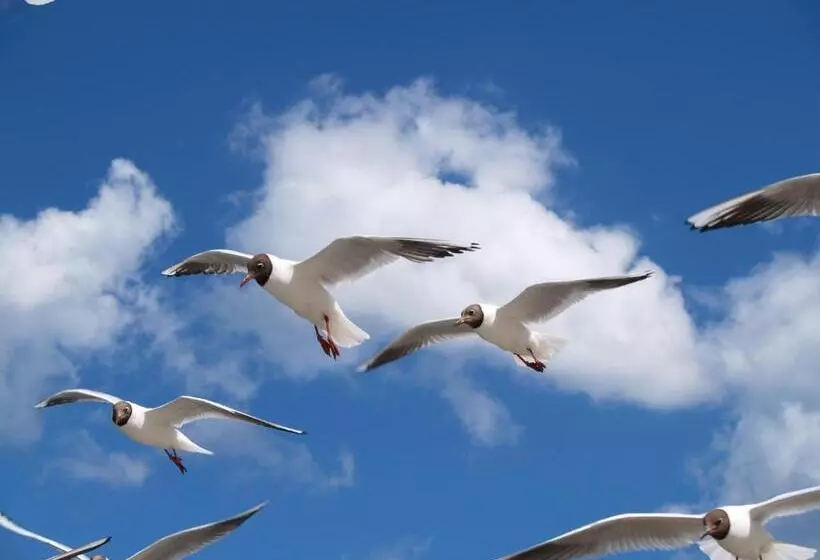 호텔 Pension Kirschstein