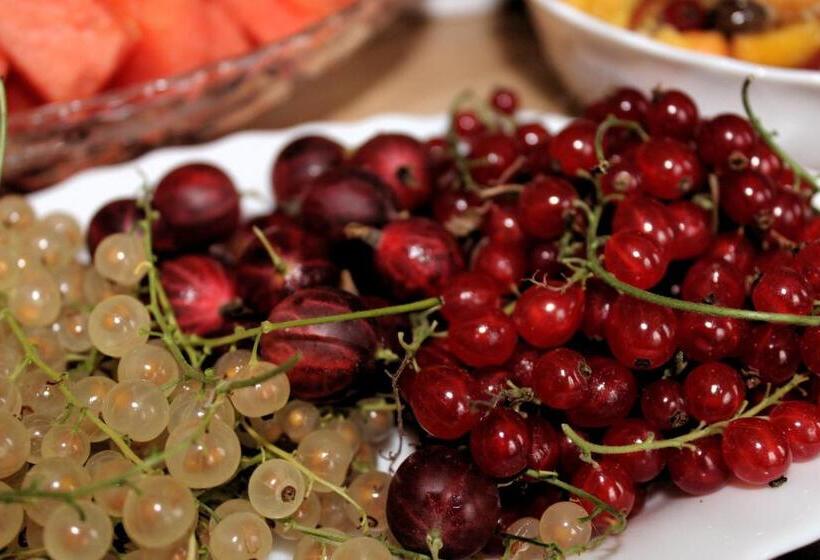 ホテル The Avalon