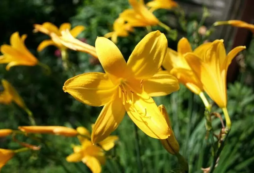 Landhaus Heinrichshof