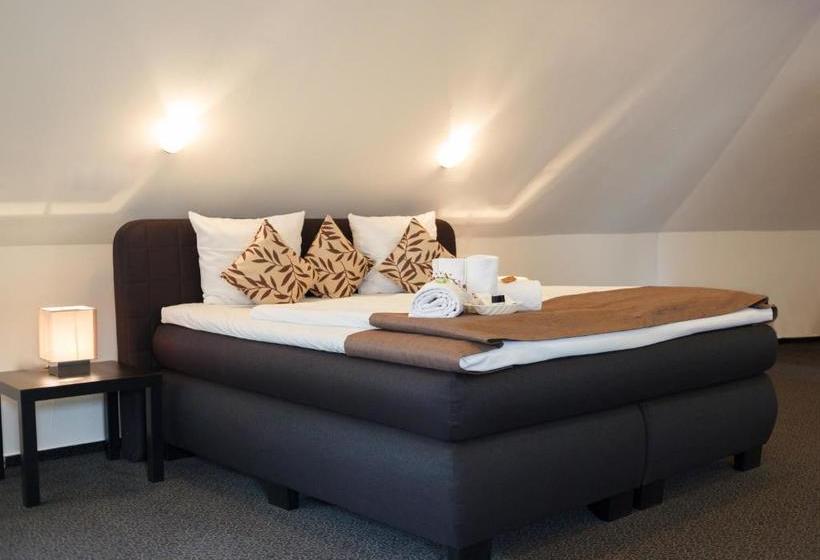 بنسيون Dittmers