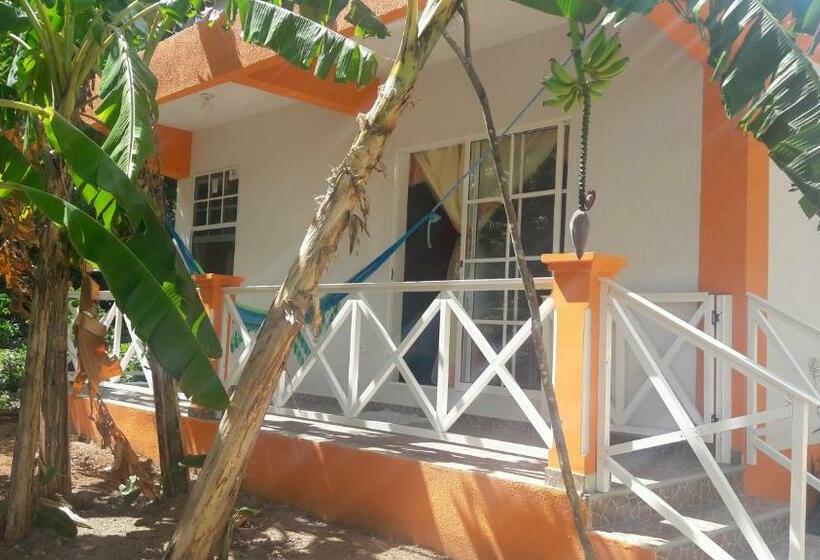 هاستل Shell Sea B & B