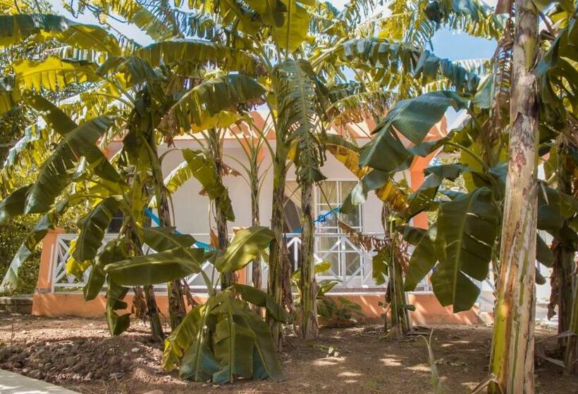 هاستل Shell Sea B & B