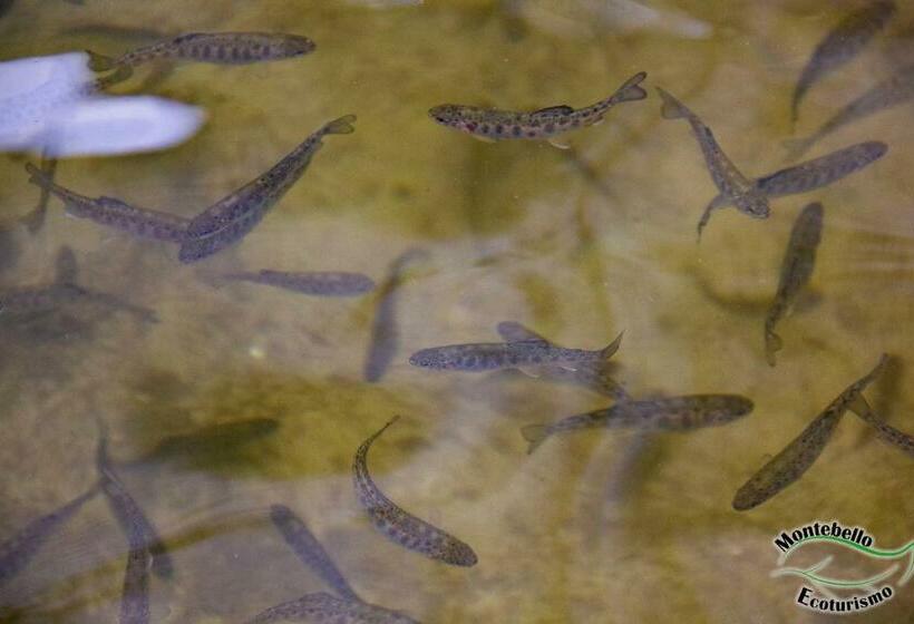 Cabaña Fonda Las Nanas