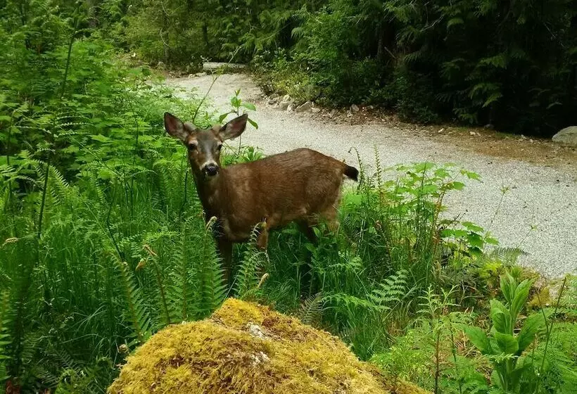 Majatalo The Cabin At Moon Dance