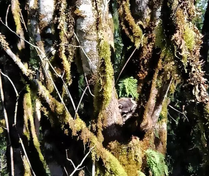 Majatalo The Cabin At Moon Dance