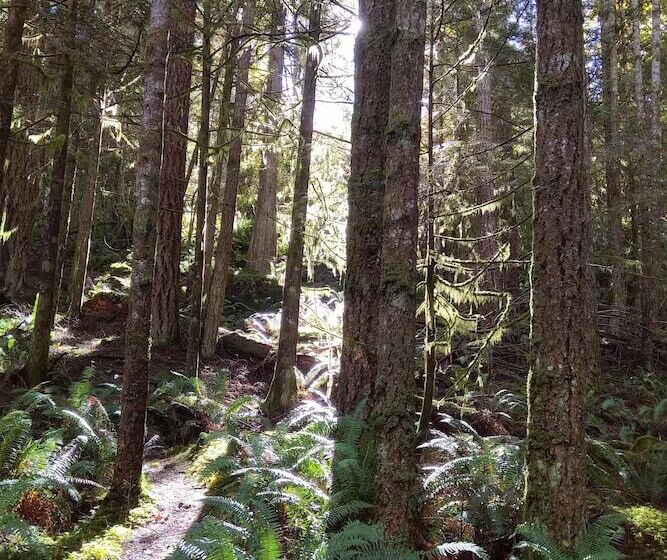 Panzió The Cabin At Moon Dance