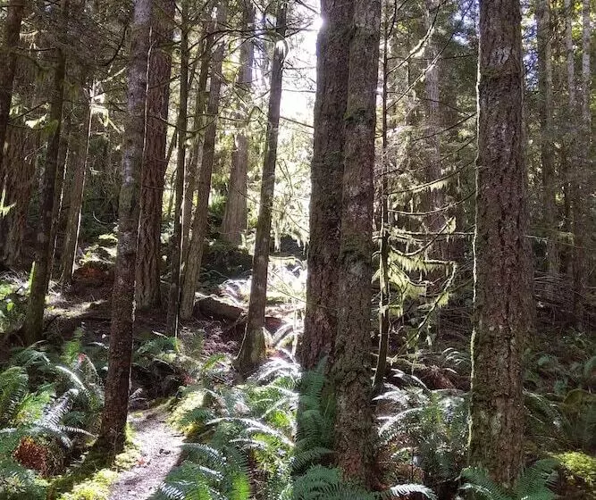 Majatalo The Cabin At Moon Dance