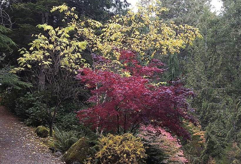 Panzió The Cabin At Moon Dance