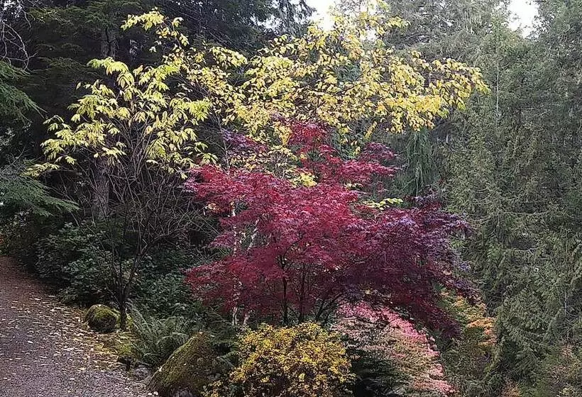 Majatalo The Cabin At Moon Dance