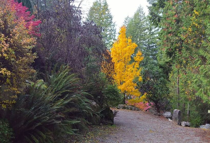 Panzió The Cabin At Moon Dance
