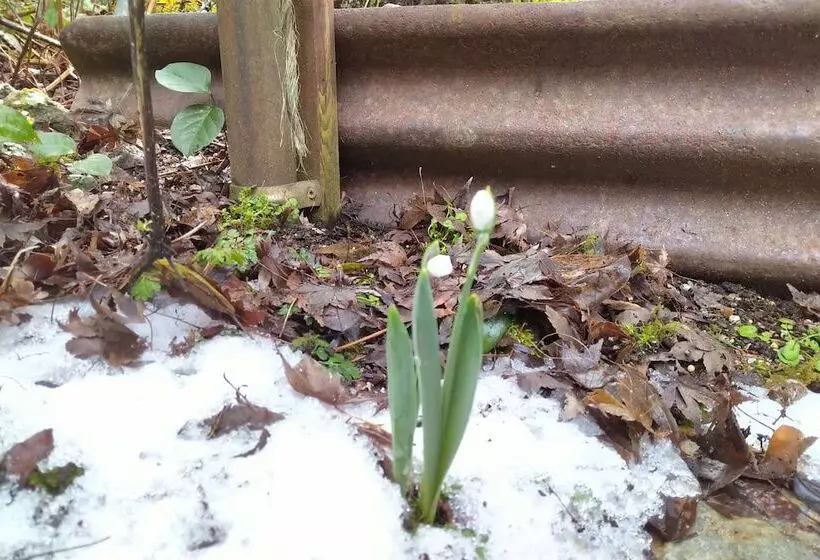 Majatalo The Cabin At Moon Dance