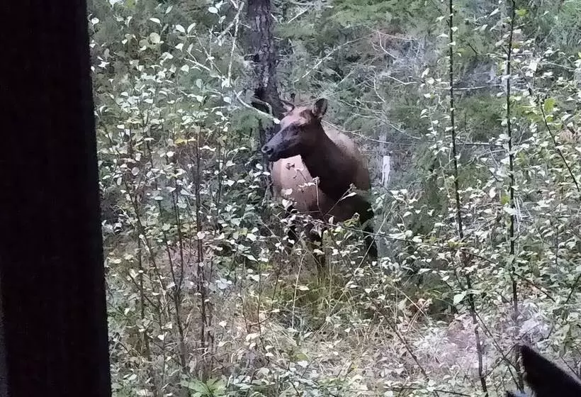 Majatalo The Cabin At Moon Dance