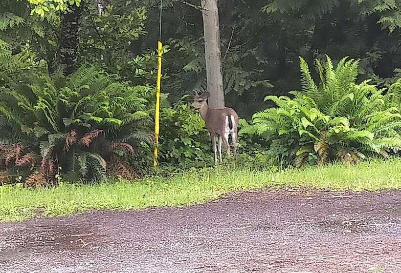 Panzió The Cabin At Moon Dance