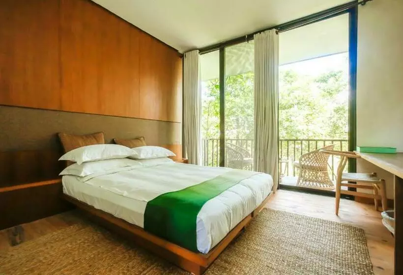 استراحتگاه Kasara Chitwan