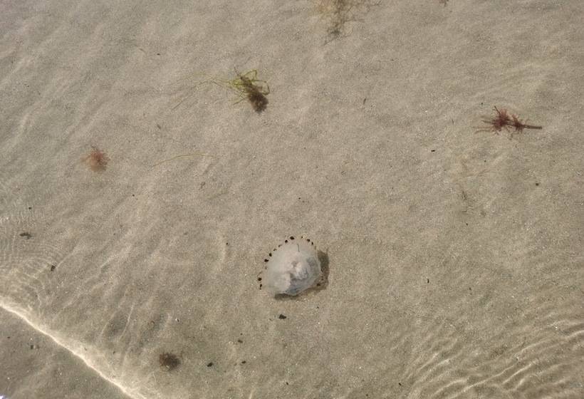 Sea And Mountain View Sunbeach Holiday Snowdonia