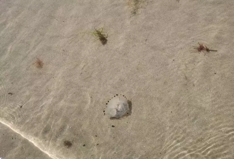 Sea And Mountain View Sunbeach Holiday Snowdonia