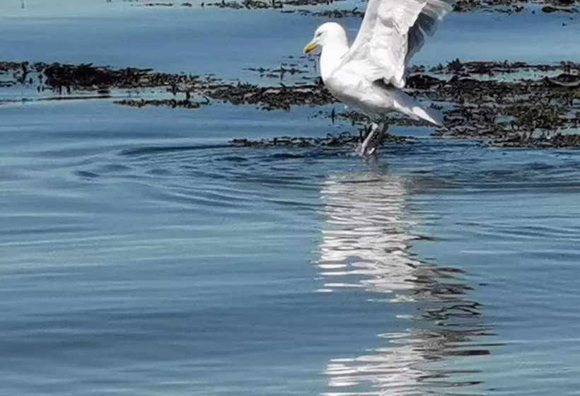 Sea And Mountain View Sunbeach Holiday Snowdonia
