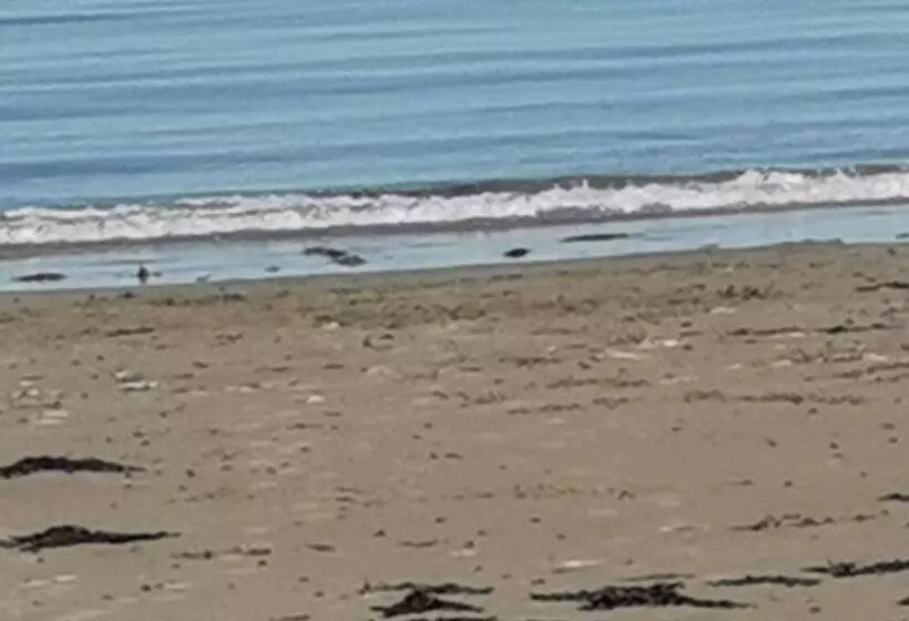 Sea And Mountain View Sunbeach Holiday Snowdonia