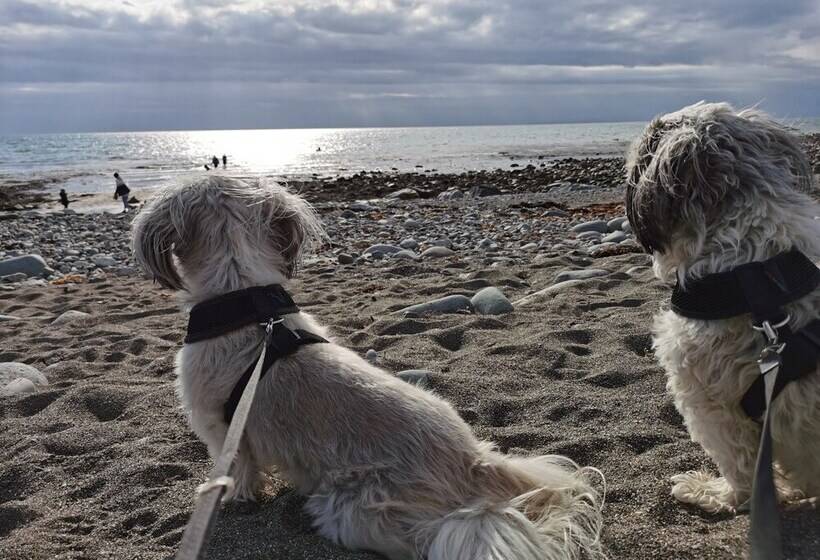 Sea And Mountain View Sunbeach Holiday Snowdonia