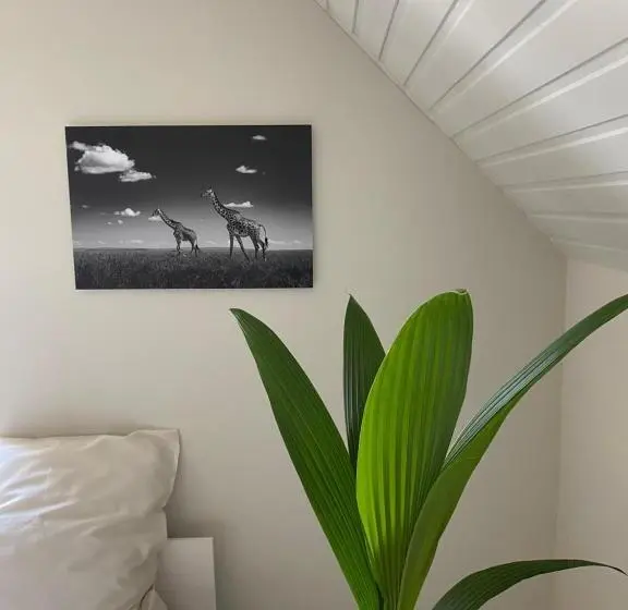 B&b Maison Blanche