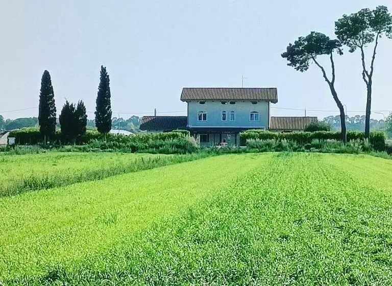 Aamiaismajoitus (B&B) La Ricarda Dimora Di Campagna
