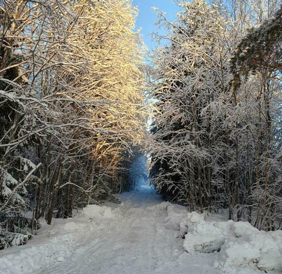 Schnieders3german Forest B&b