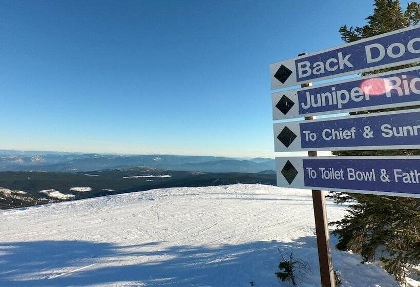 Woodhaven #19 By Bear Country