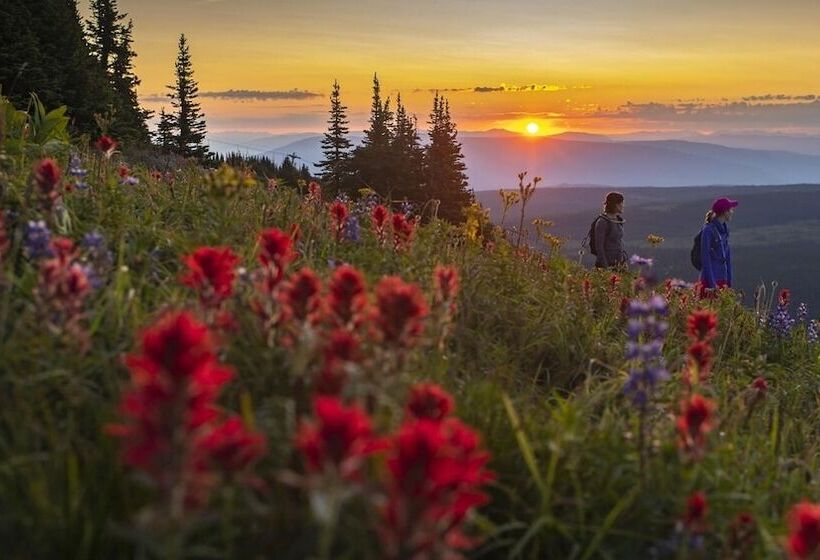 Woodhaven #19 By Bear Country