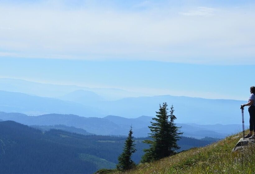 Woodhaven #19 By Bear Country