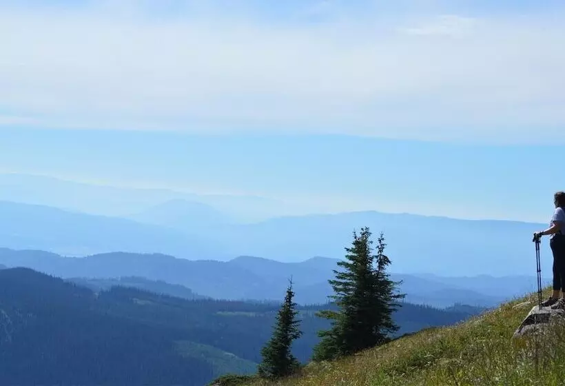 Woodhaven #19 By Bear Country