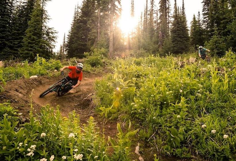 Woodhaven #19 By Bear Country